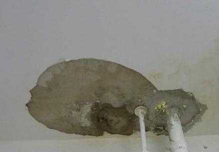 防水堵漏秘籍，让家瞬间滴水不漏